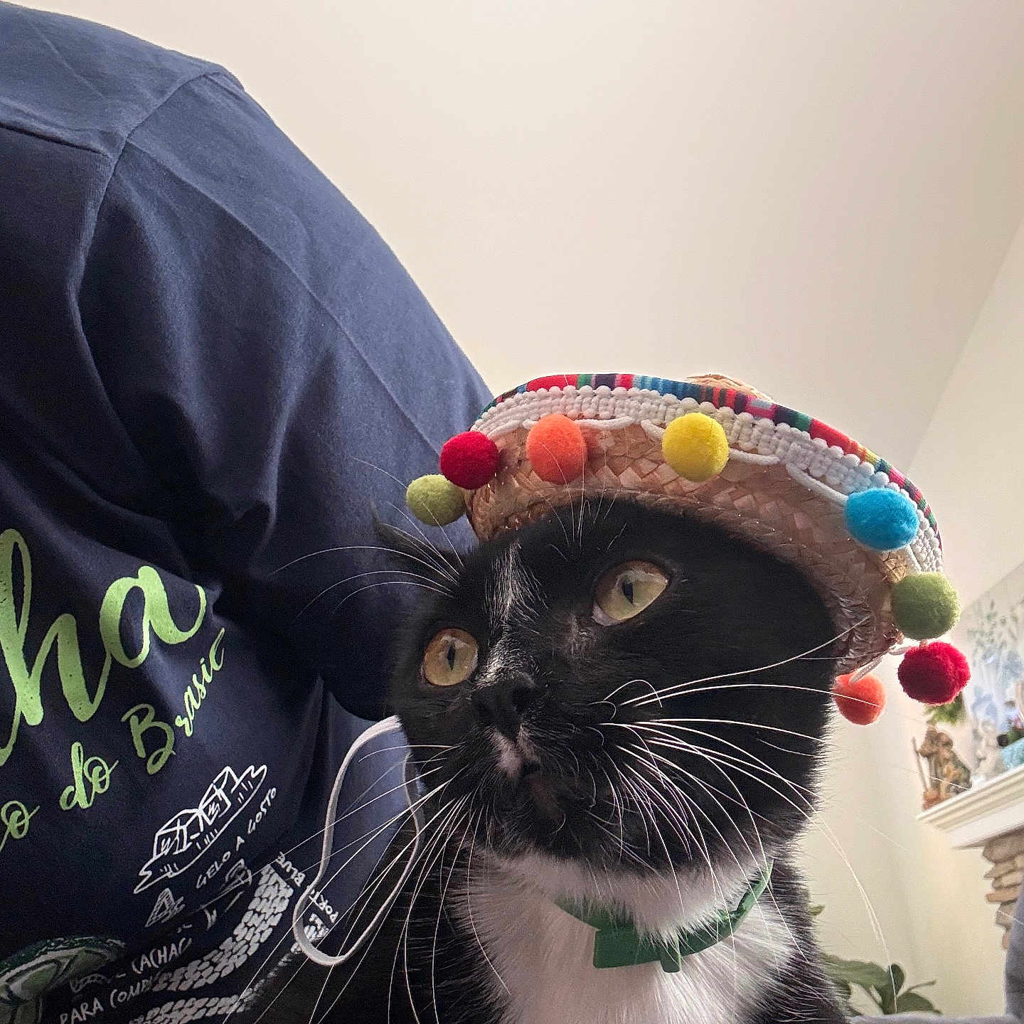 Bartolito