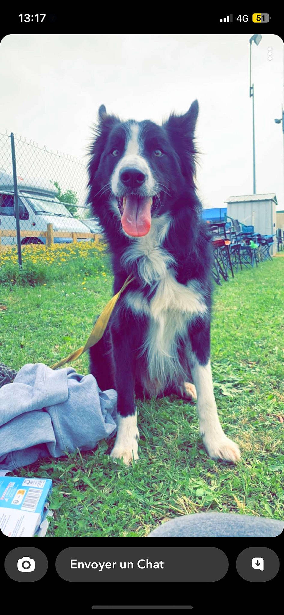 Oups a rejoint le concours — aidez-le/la à gagner de superbes lots ! australian_shepherd, border_collie, carnivore, companion_dog, dog, dog_agility, dog_breed, dog_sports, dog_supply, electric_blue, fun, grass, guard_dog, herding_dog, plant, sky, sporting_group, wheel, whiskers, working_dog