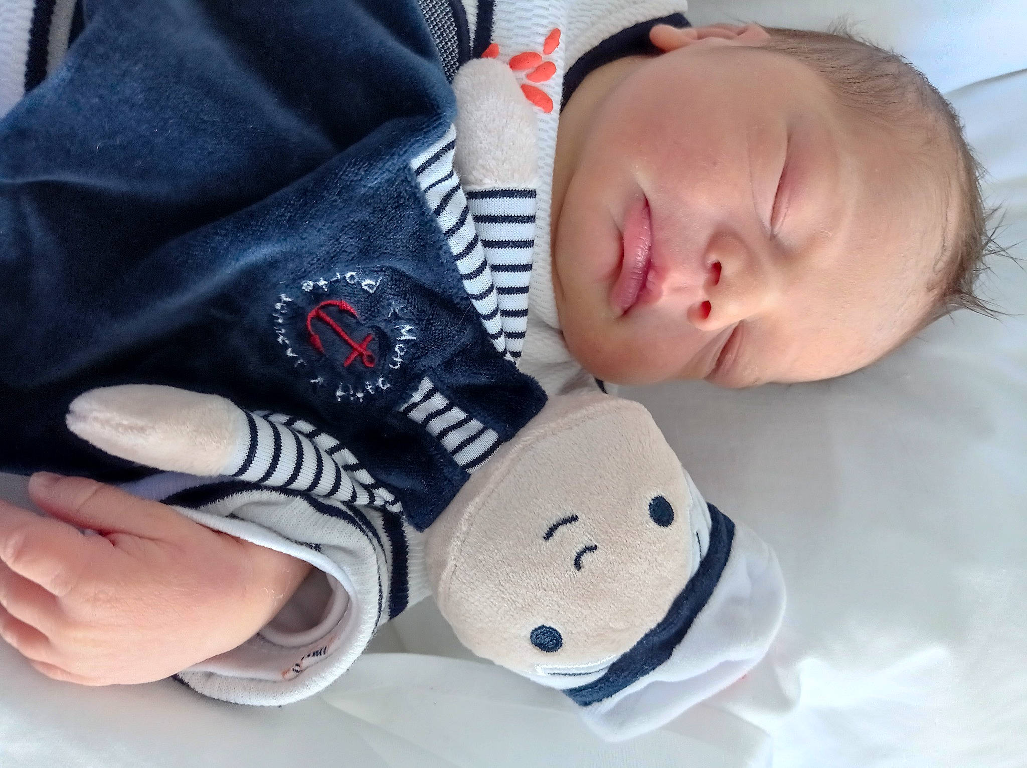 Auguste participe au concours pour gagner de l'argent avec cette photo : baby, baby_products, baby_sleeping, baby_toddler_clothing, cheek, comfort, eyelash, face, finger, gesture, hand, head, nail, nose, person, skin, sleeve, textile, thumb, toddler