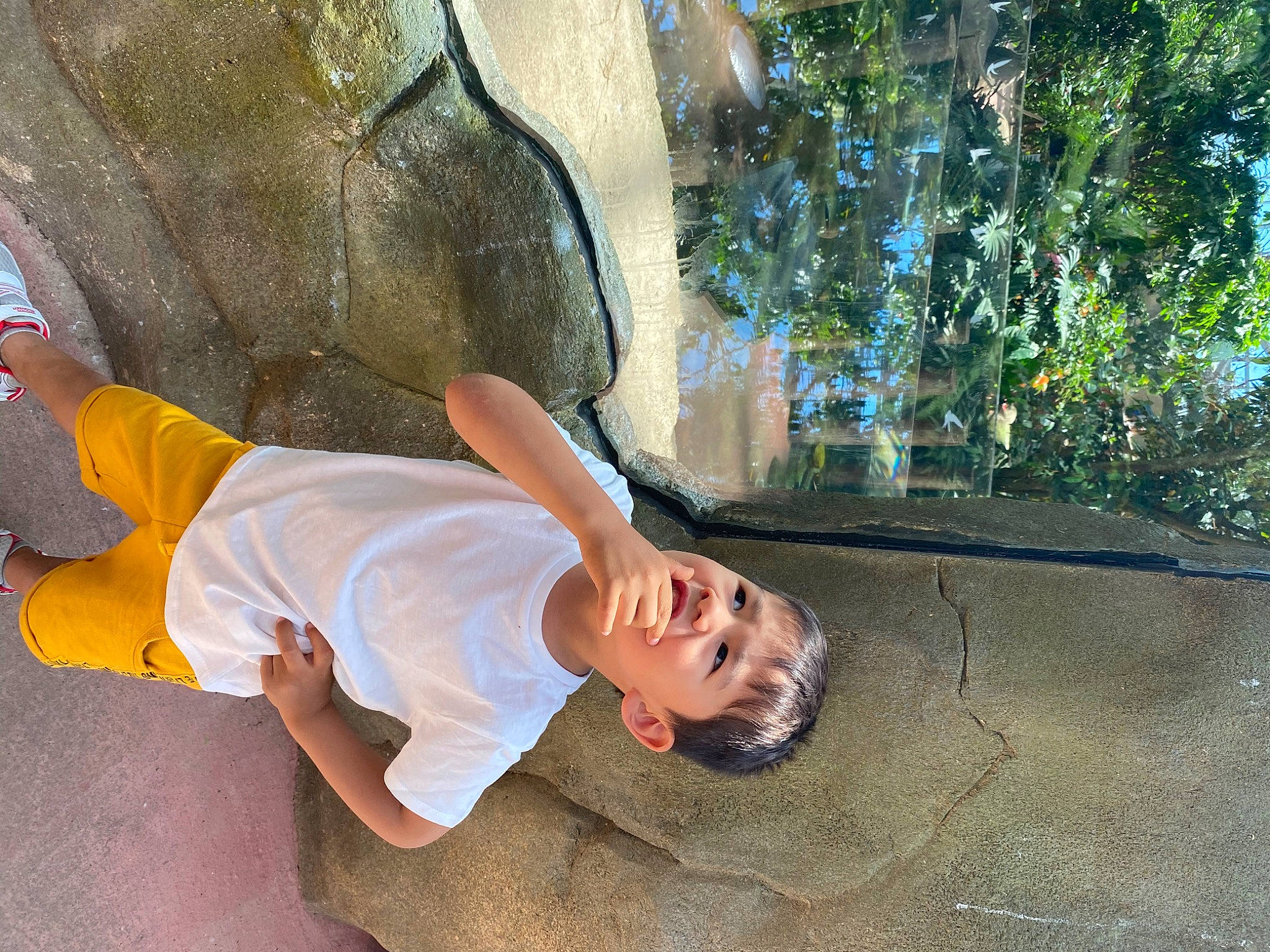 Glenn a rejoint le concours — aidez-le/la à gagner de superbes lots ! adventure, bouldering, climbing, fun, leg, leisure, person, recreation, tree, vacation