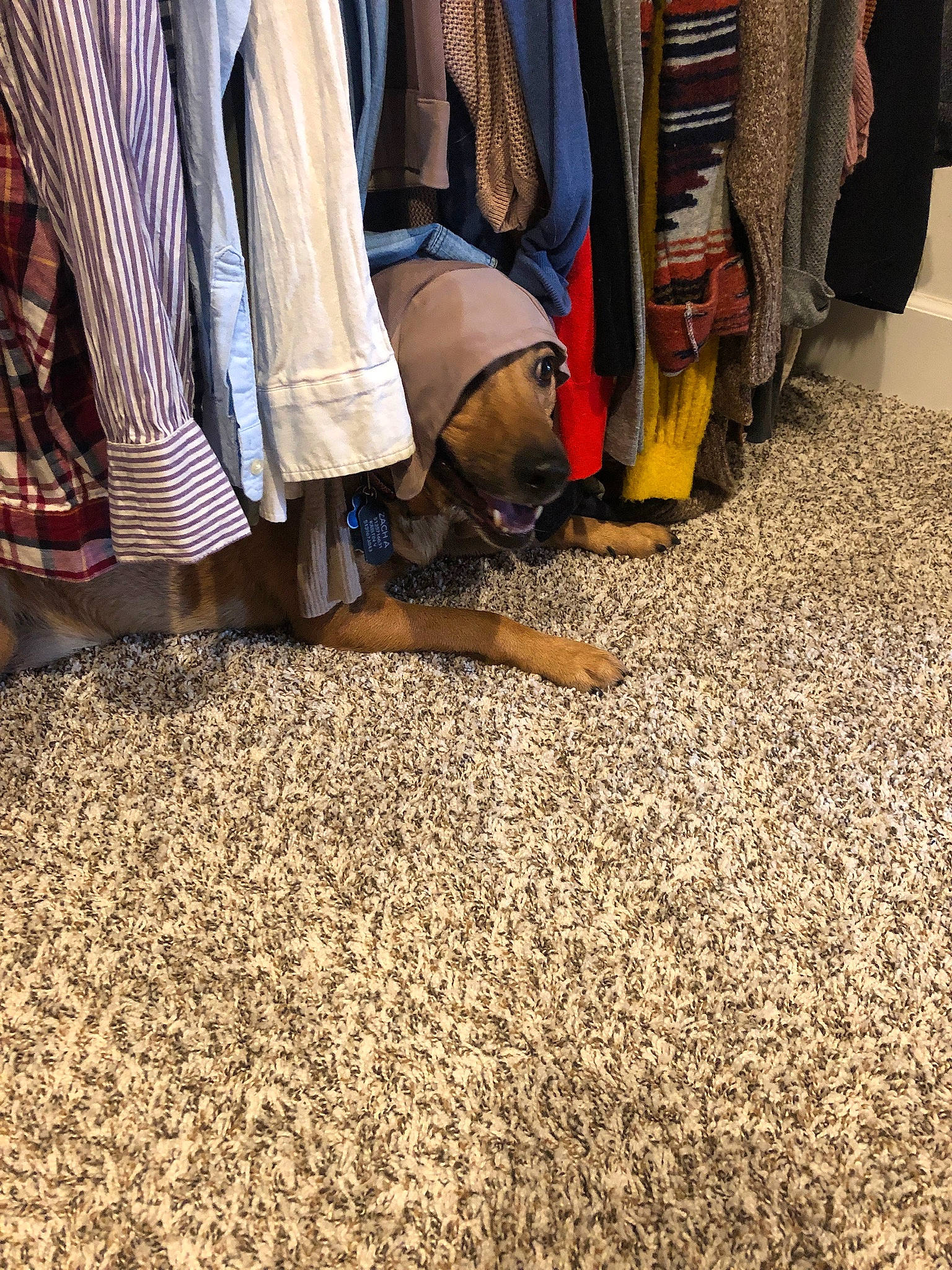 Cole is registered to the contest to win money with this photo: carpet, floor, flooring, foot, footwear, leg, room, shoe, textile