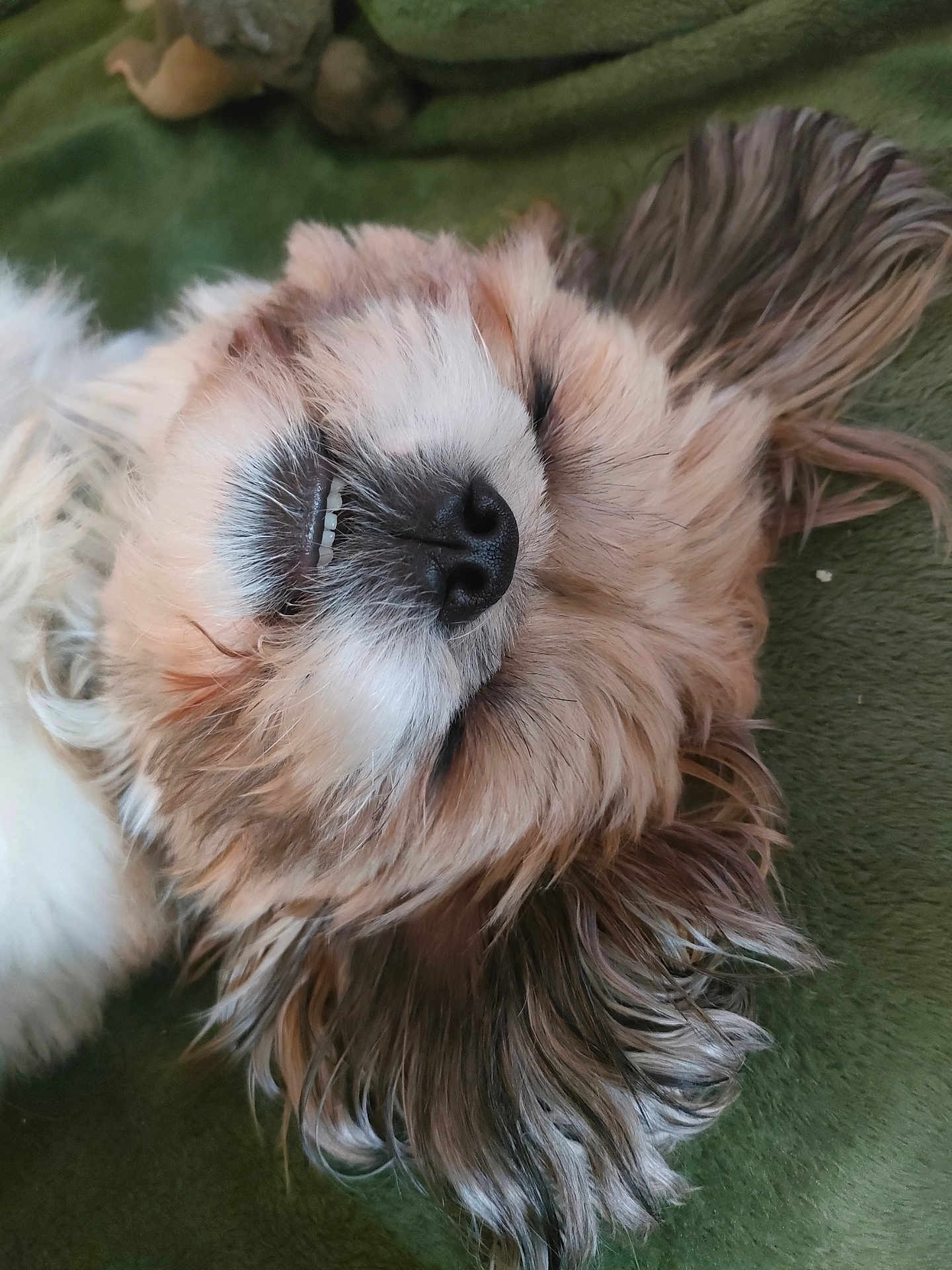 Floky