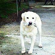 Dalton participe au concours pour gagner de l'argent avec cette photo :