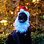 dog, black_dog, santa_hat, beard, christmas, holiday, festive, outdoor, grass, lights, blurred_background, happy, pet, animal, canine, smiling, costume, celebration, winter, seasonal