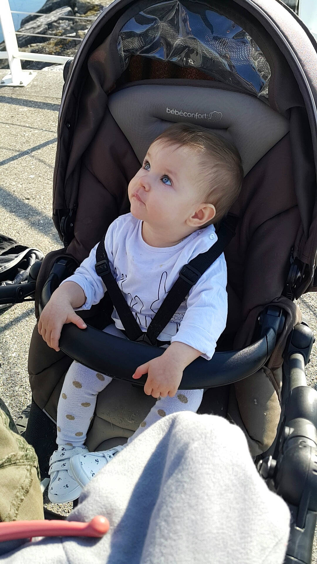 Siana participe au concours pour gagner de l'argent avec cette photo : baby, baby_carriage, baby_carrier, baby_in_car_seat, baby_products, car_seat, child, person, product, toddler