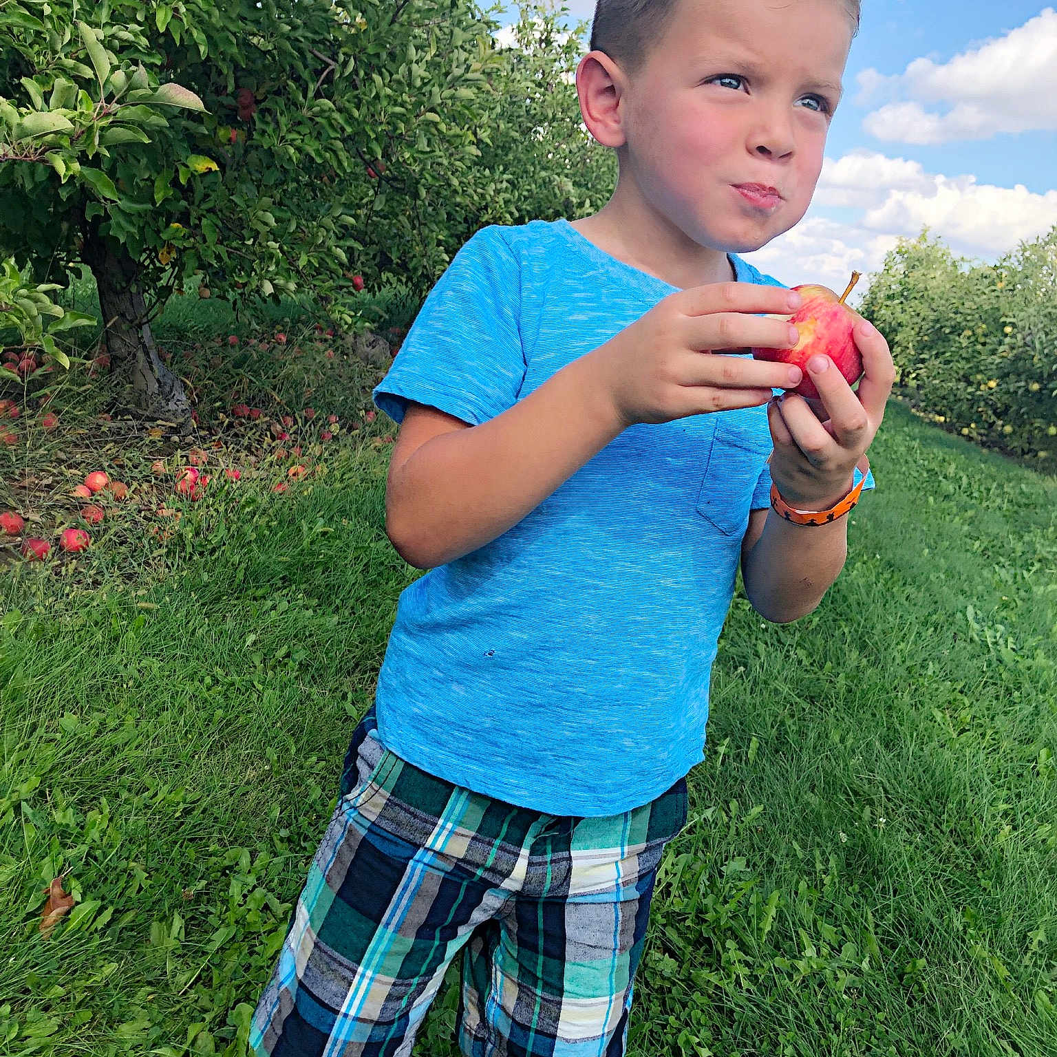 Manuel is registered to the contest to win money with this photo: blue, boy, child, clothing, fun, grass, green, lawn, male, pattern, person, plaid, plant, play, shoulder, smile, standing, summer, toddler, tree