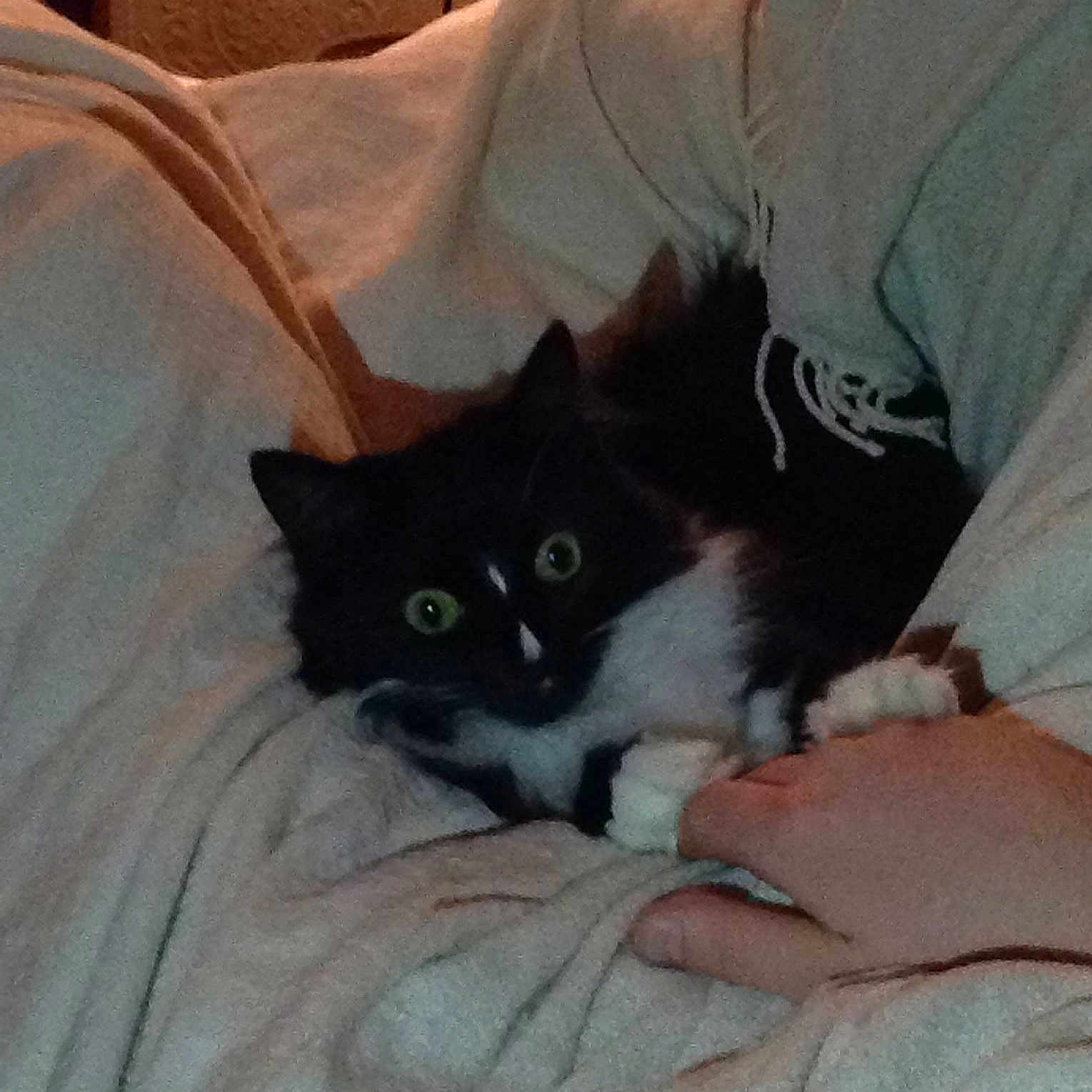 Mango joined the competition — help win amazing prizes!