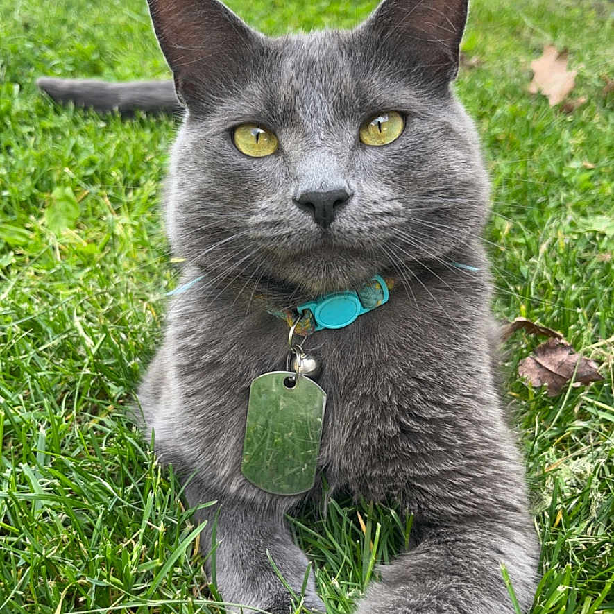 Leo