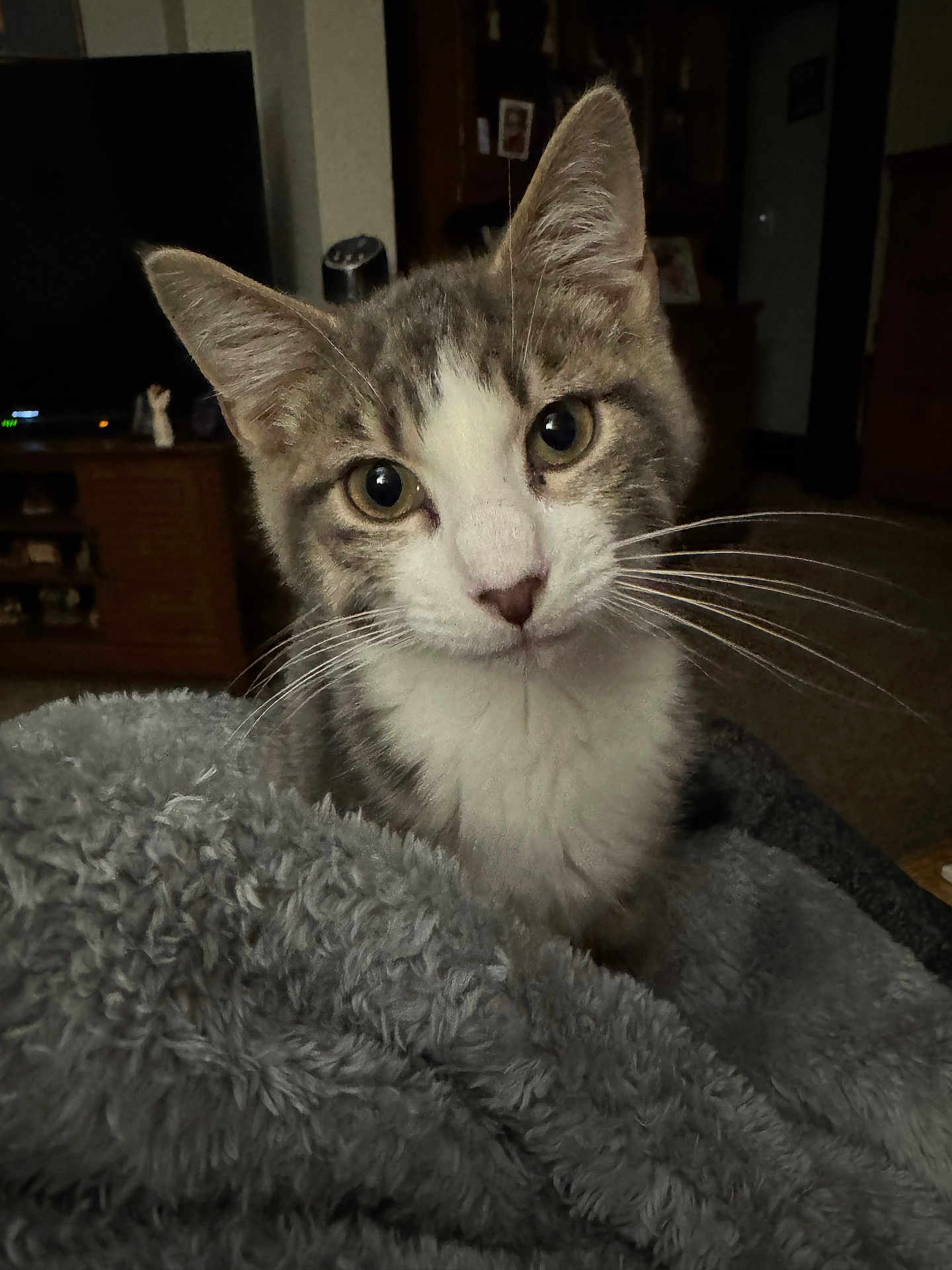 Finnegan