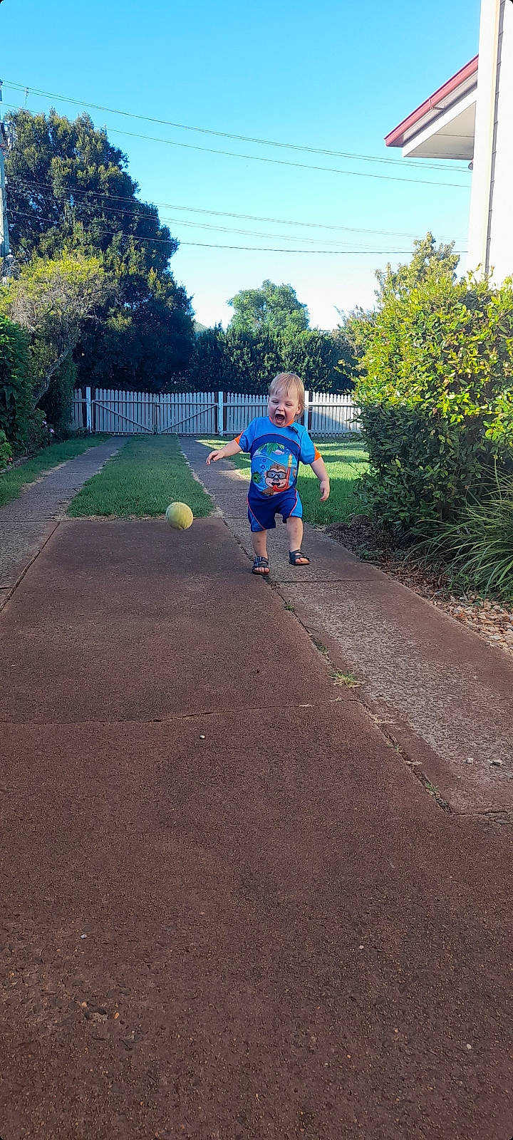 Tiger is registered to the contest to win money with this photo: asphalt, ball, child, city, fun, grass, landscape, leisure, neighbourhood, people_in_nature, person, plant, recreation, road, road_surface, sidewalk, sky, soil, sports_equipment, toddler