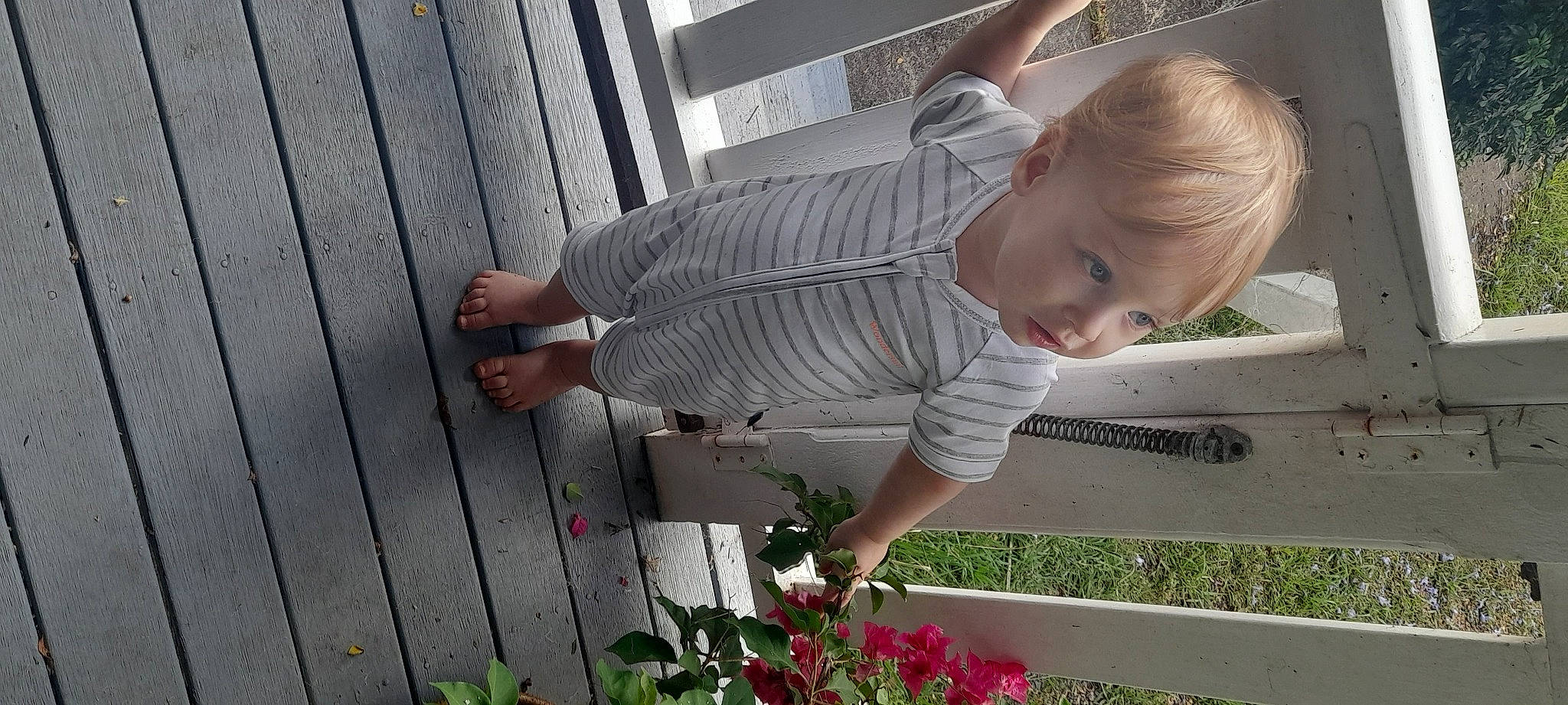 Tiger is registered to the contest to win money with this photo: baby, baby_toddler_clothing, child, flower, fun, garden, grass, happy, leisure, person, plant, sitting, toddler, tree, wood, yard