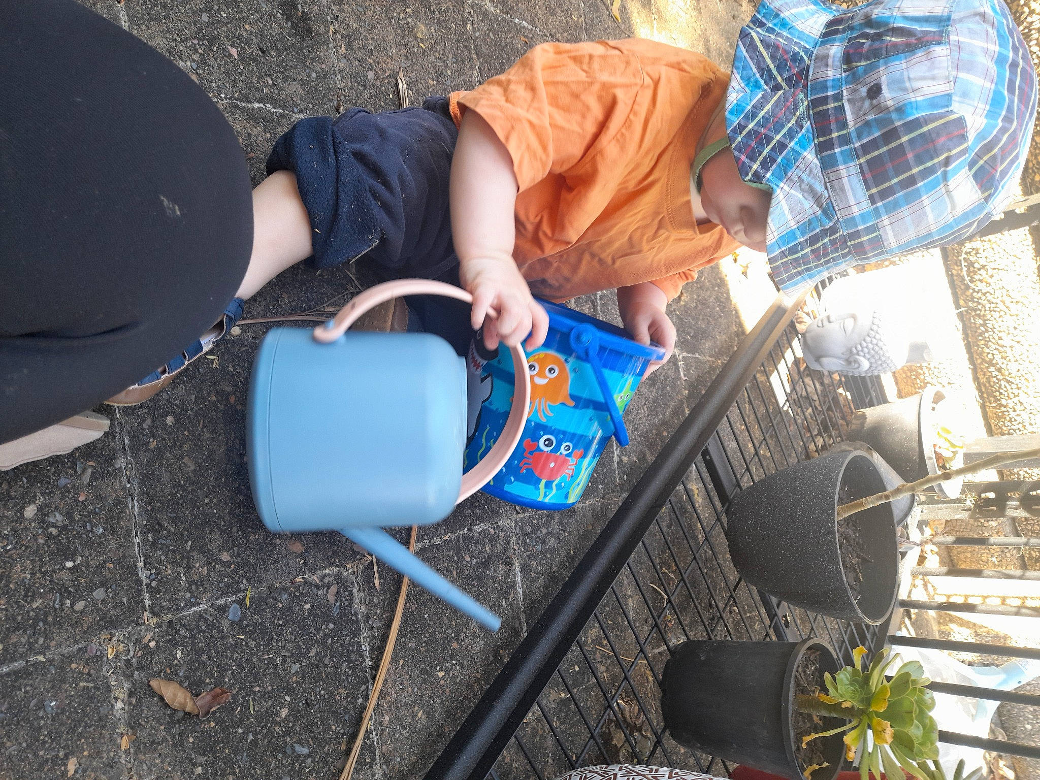 Tiger joined the competition — help win amazing prizes! auto_part, automotive_tire, denim, electric_blue, flowerpot, hand, human_leg, leisure, people, person, plant, product, sandal, shoe, sneakers, textile, thigh, tire, tree, water