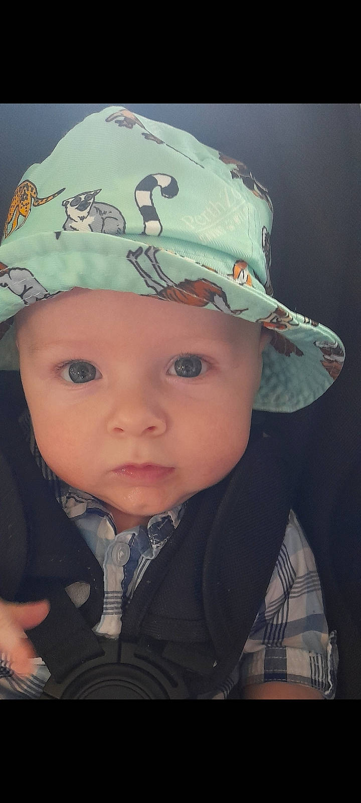 Jax is registered to the contest to win money with this photo: baby, baby_toddler_clothing, baseball_cap, cap, cheek, child, chin, close_up, cool, costume_hat, eyebrow, fashion_accessory, grass, hat, headgear, headwear, iris, lip, person, skin