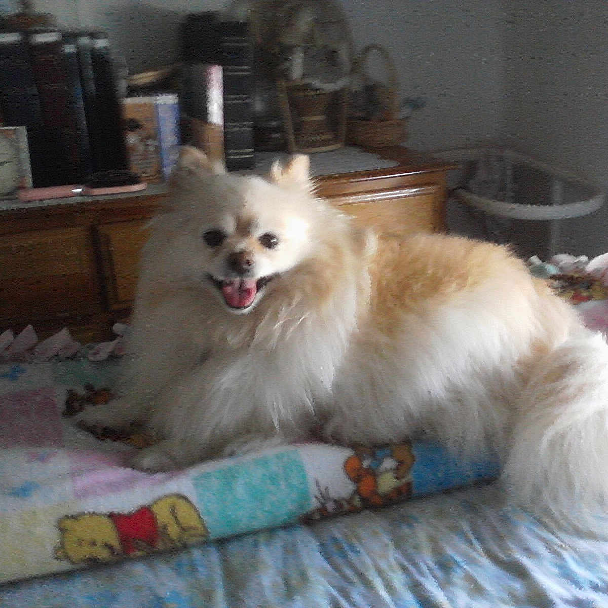 Macy