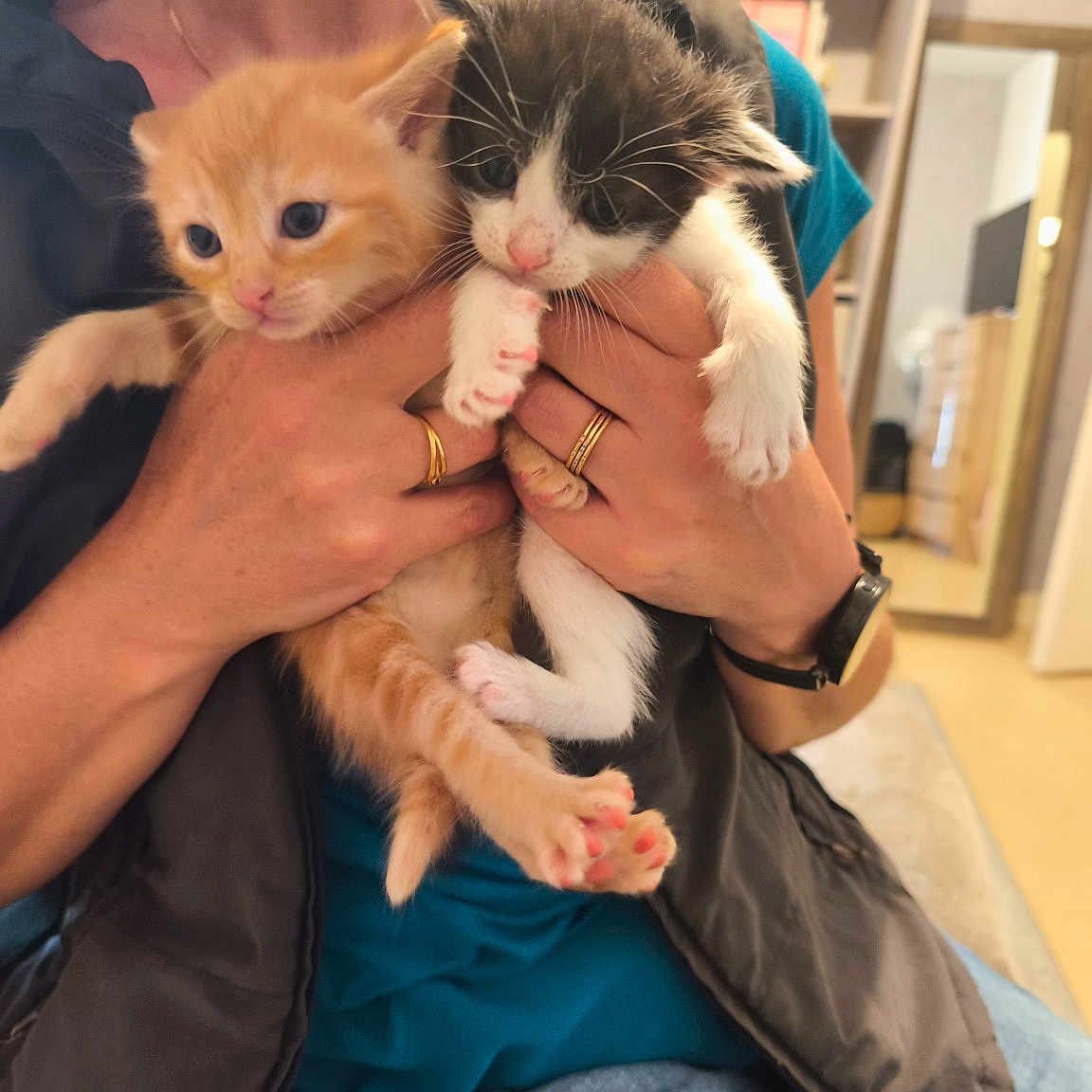 Charlie Et Maya