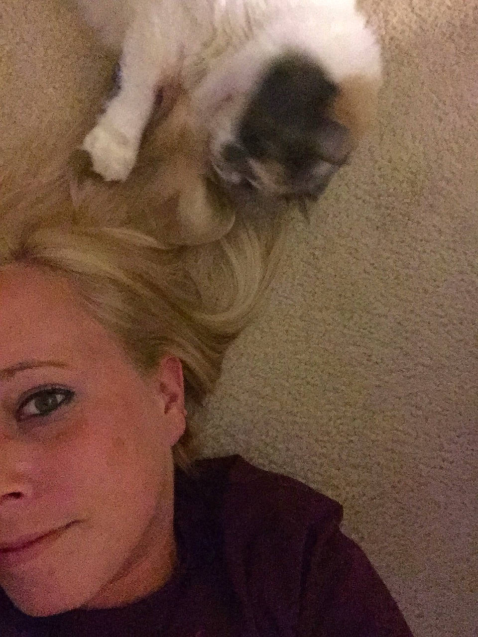 Snuggie is registered to the contest to win money with this photo: bangs, brown_hair, companion_dog, dog_breed, ear, eye, eyelash, eyewear, fashion_accessory, fawn, felidae, fur, hair_coloring, happy, jaw, long_hair, makeover, nose, selfie, sunglasses