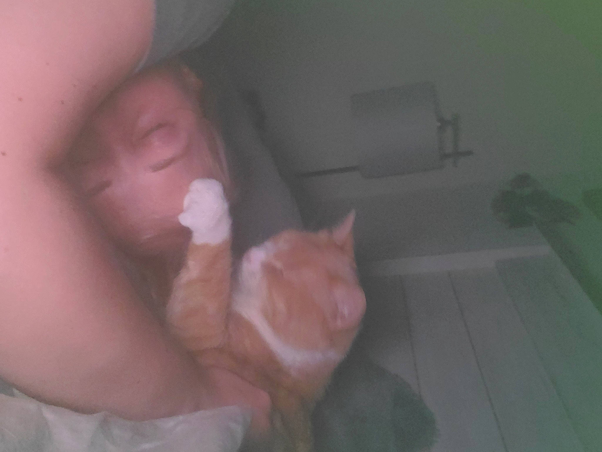 Theo is registered to the contest to win money with this photo: bed, carnivore, cat, comfort, companion_dog, darkness, dog_breed, ear, fawn, felidae, fur, gesture, hardwood, nail, nose, room, small_to_medium_sized_cats, snout, thumb, whiskers