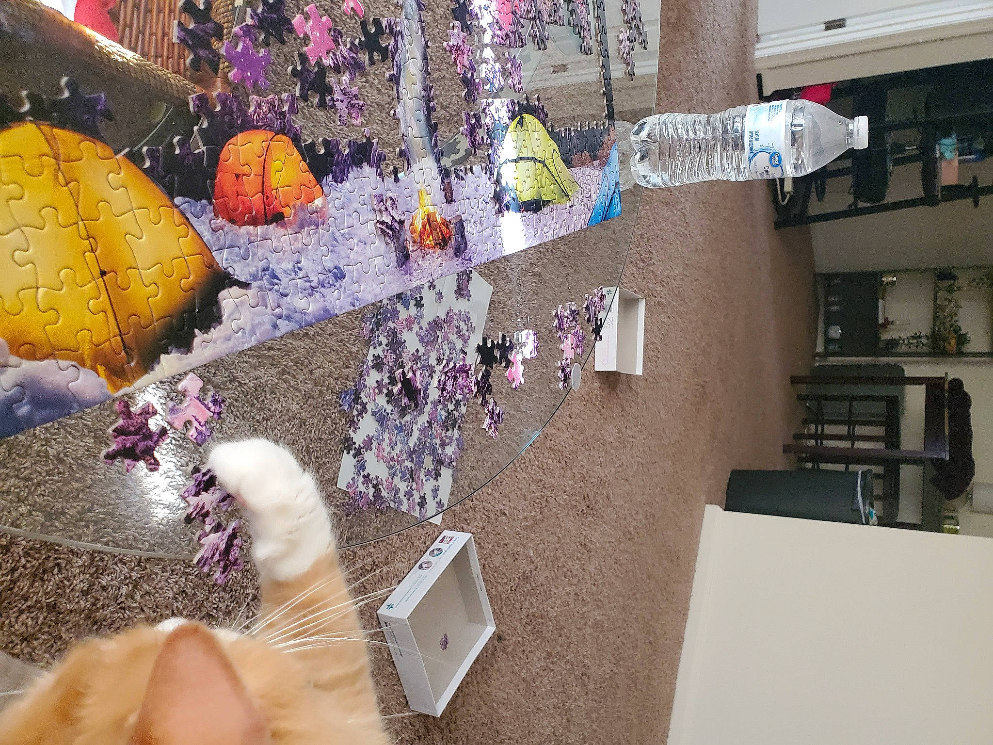 Theo joined the competition — help win amazing prizes! art, fashion_accessory, fawn, flooring, foot, fun, glass, machine, pattern, plastic, purple, room, shelf, space, toy, umbrella, urban_design, visual_arts, winter, world