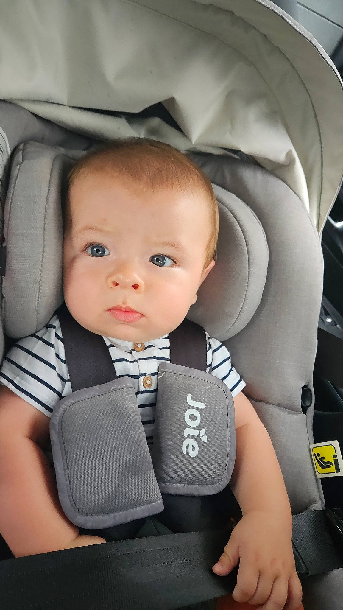 Marceau a rejoint le concours — aidez-le/la à gagner de superbes lots ! auto_part, automotive_design, baby, baby_carriage, baby_in_car_seat, baby_products, baby_safety, baby_toddler_clothing, car_seat, car_seat_cover, cheek, child, comfort, eye, flash_photography, head_restraint, person, product, seat_belt, tie