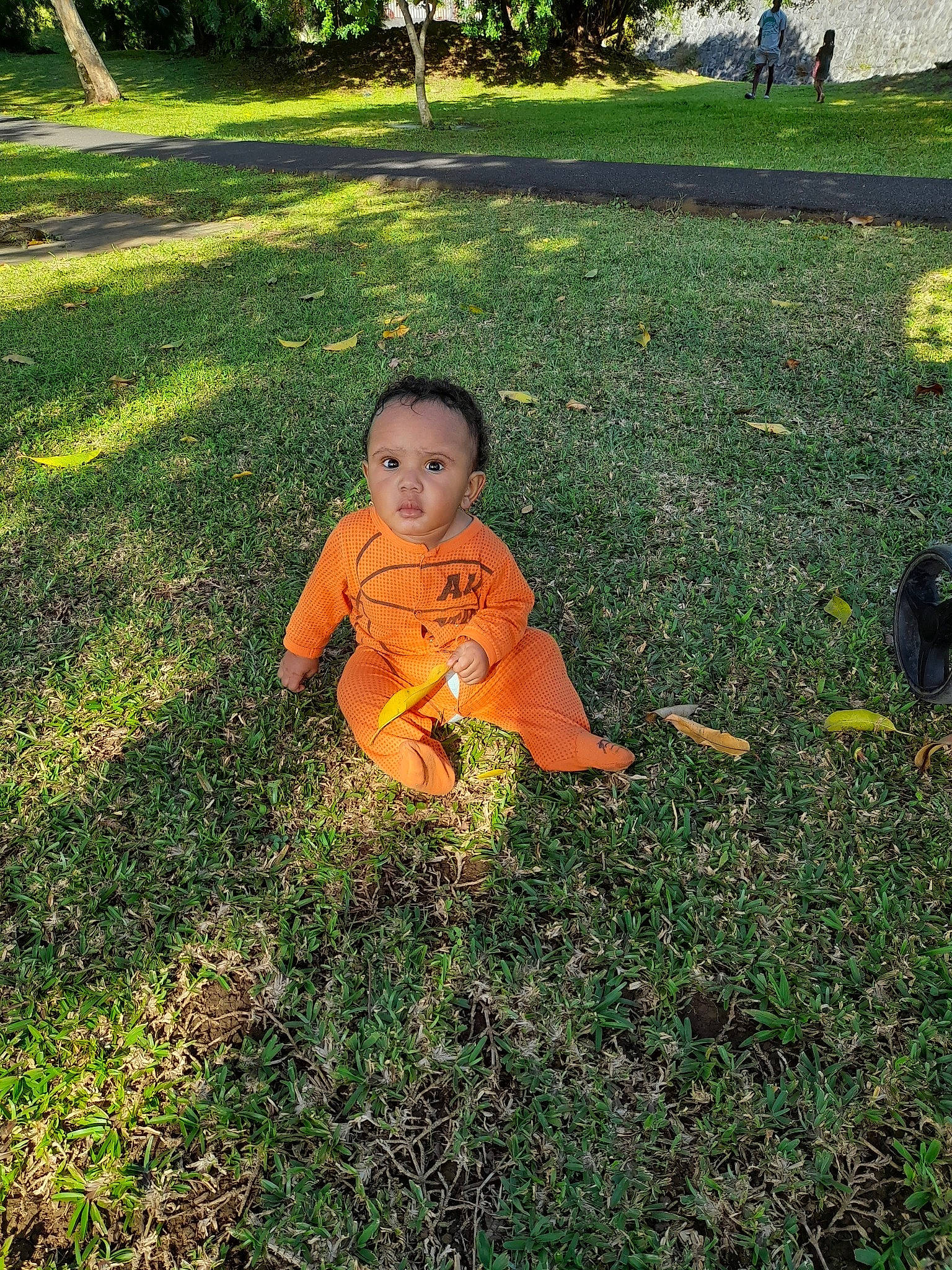 Rohan a rejoint le concours — aidez-le/la à gagner de superbes lots ! baby, child, fun, garden, grass, grass_family, grassland, groundcover, happy, landscape, lawn, leaf, leisure, people_in_nature, person, plant, recreation, soil, tints_and_shades, toddler