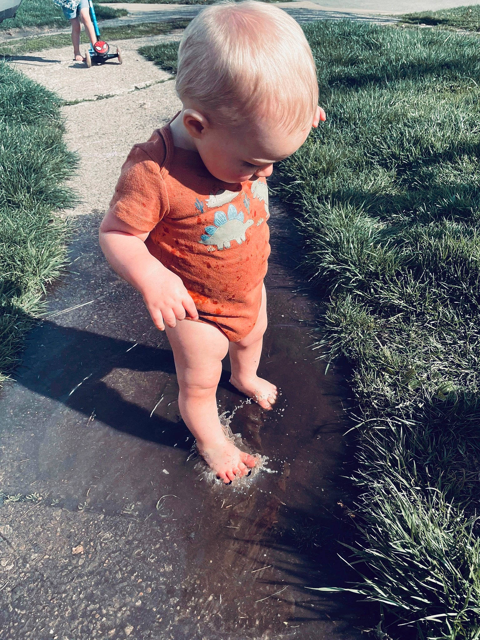 Jaisean joined the competition — help win amazing prizes! asphalt, baby, flooring, grass, human_body, leaf, leg, leisure, mammal, morning, people, people_in_nature, person, plant, shorts, summer, sunlight, tints_and_shades, toddler, vertebrate