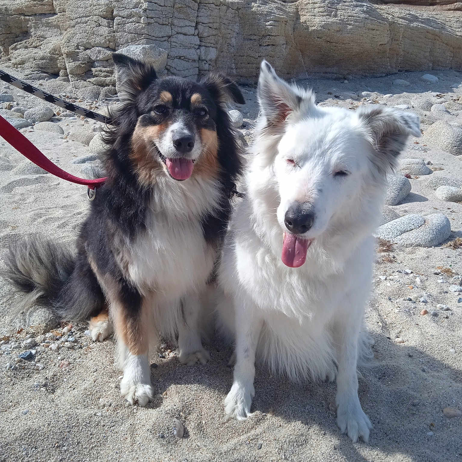 Ilouna Et Nixie