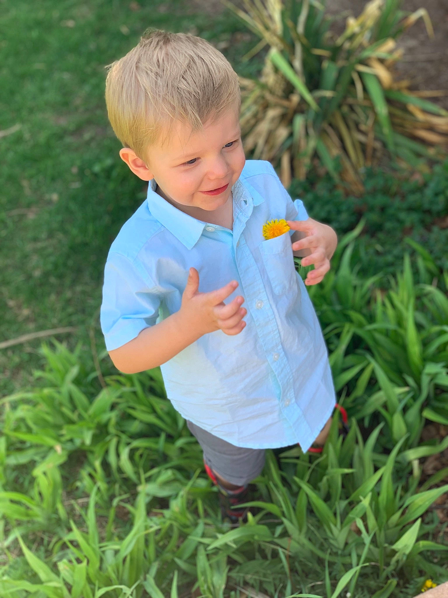 Jadon is registered to the contest to win money with this photo: baby, botany, child, finger, flower, garden, grass, grass_family, hand, lawn, leaf, meadow, person, plant, play, spring, toddler