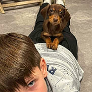 Arsouille participe au concours pour gagner de l'argent avec cette photo : dog, puppy, dachshund, boy, child, face, eyes, ears, paws, carpet, slippers, shirt, pants, indoor, home, floor, pet_owner, laying, cute, bonding