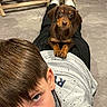 bonding, boy, carpet, child, cute, dachshund, dog, ears, eyes, face, floor, home, indoor, laying, pants, paws, pet_owner, puppy, shirt, slippers