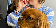 Roops a rejoint le concours — aidez-le/la à gagner de superbes lots ! dog, person, woman, indoor, table, window, smile, long_hair, bracelet, sweater, phone, wall_art, brown_dog, seated, portrait, casual, furniture, home, happy, looking_away