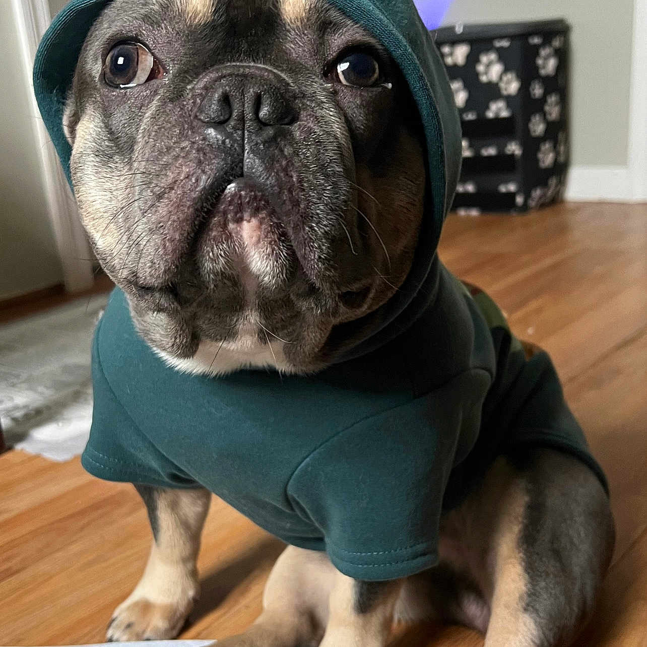 Charlie