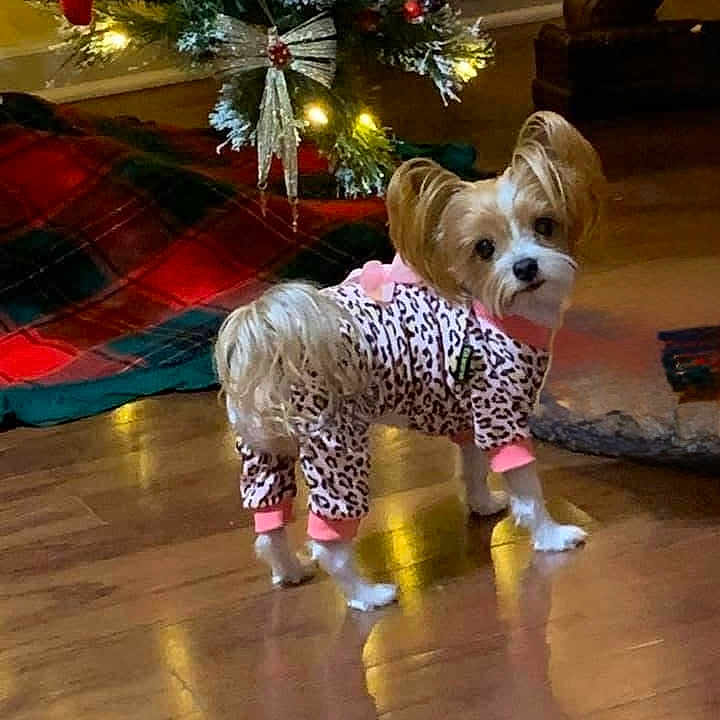 Zoe