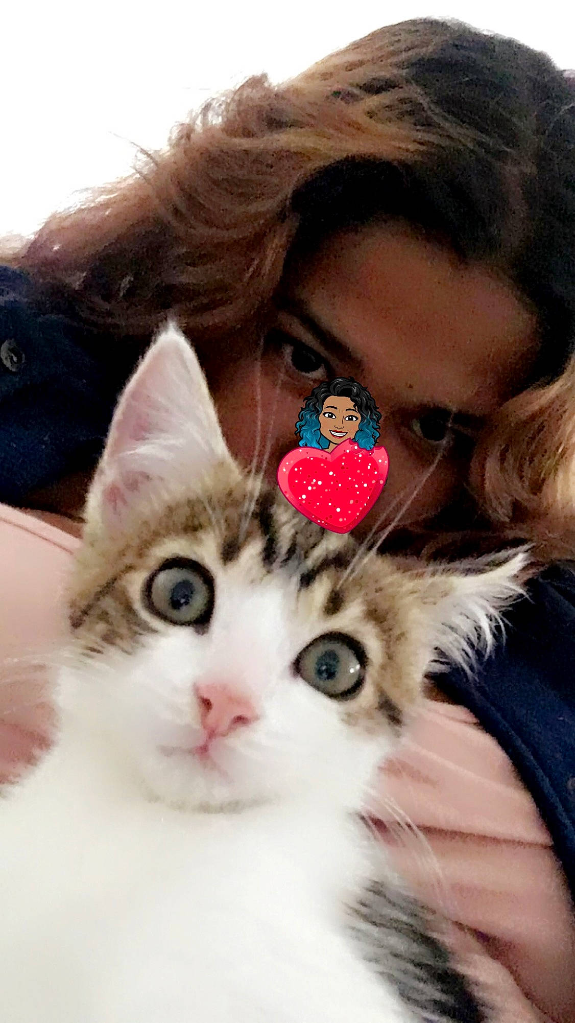 Rajeesh a rejoint le concours — aidez-le/la à gagner de superbes lots ! brown_hair, carnivore, cat, earrings, felidae, fur, iris, kitten, mammal, selfie, skin, small_to_medium_sized_cats, snout, vertebrate, whiskers