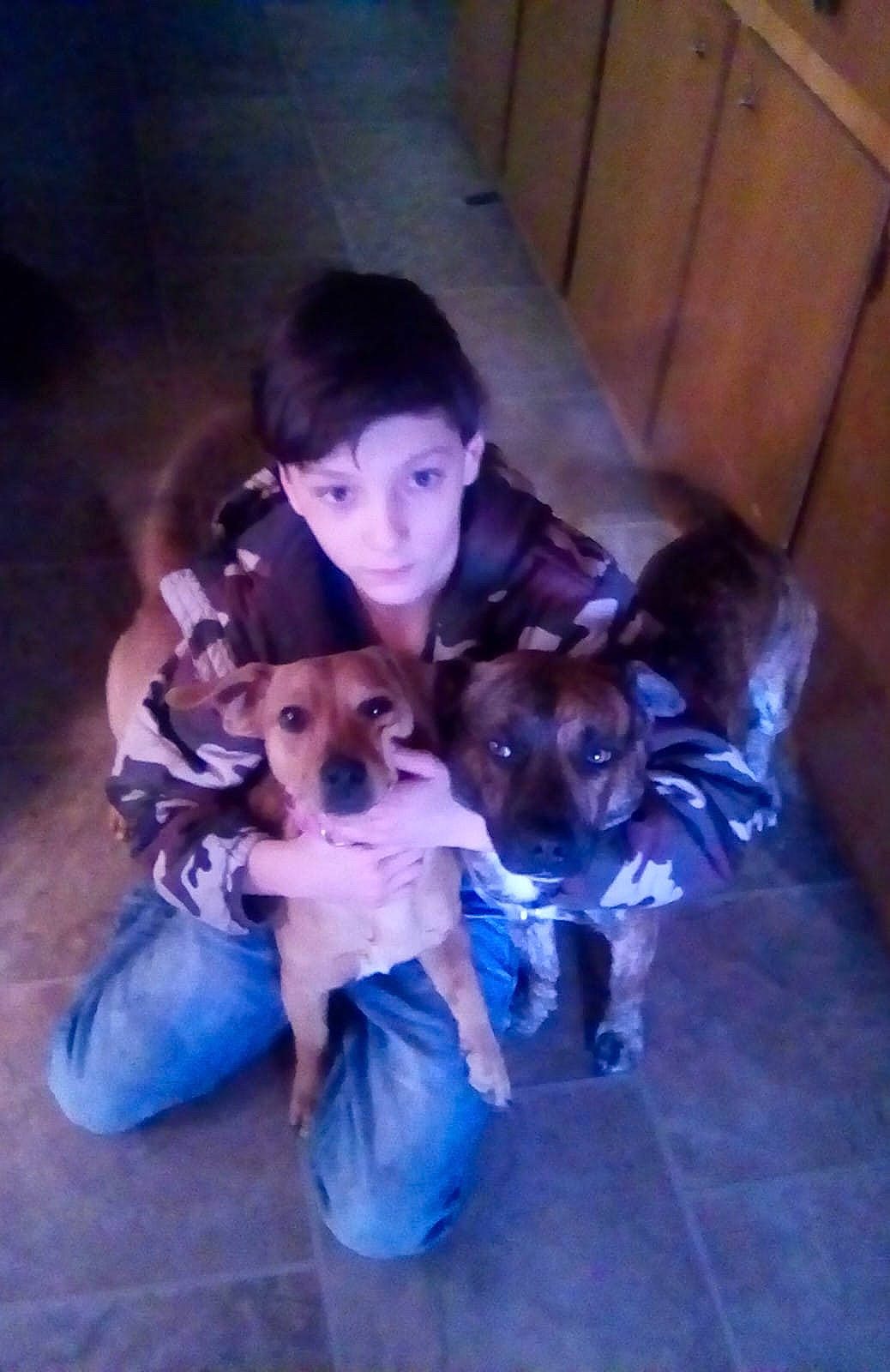 Isaac joined the competition — help win amazing prizes! canidae, carnivore, companion_dog, dog, dog_breed, dog_clothes, electric_blue, fawn, fun, fur, hat, lap, person, puppy, puppy_love, purple, sitting, sporting_group, toy_dog, vertebrate