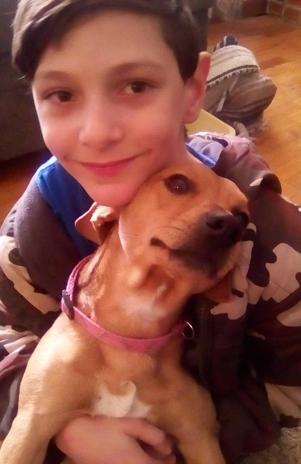 Isaac joined the competition — help win amazing prizes! cap, carnivore, companion_dog, dog, dog_breed, eye, fawn, fun, happy, hat, jaw, joy, nose, organ, person, recreation, selfie, skin, smile, snout