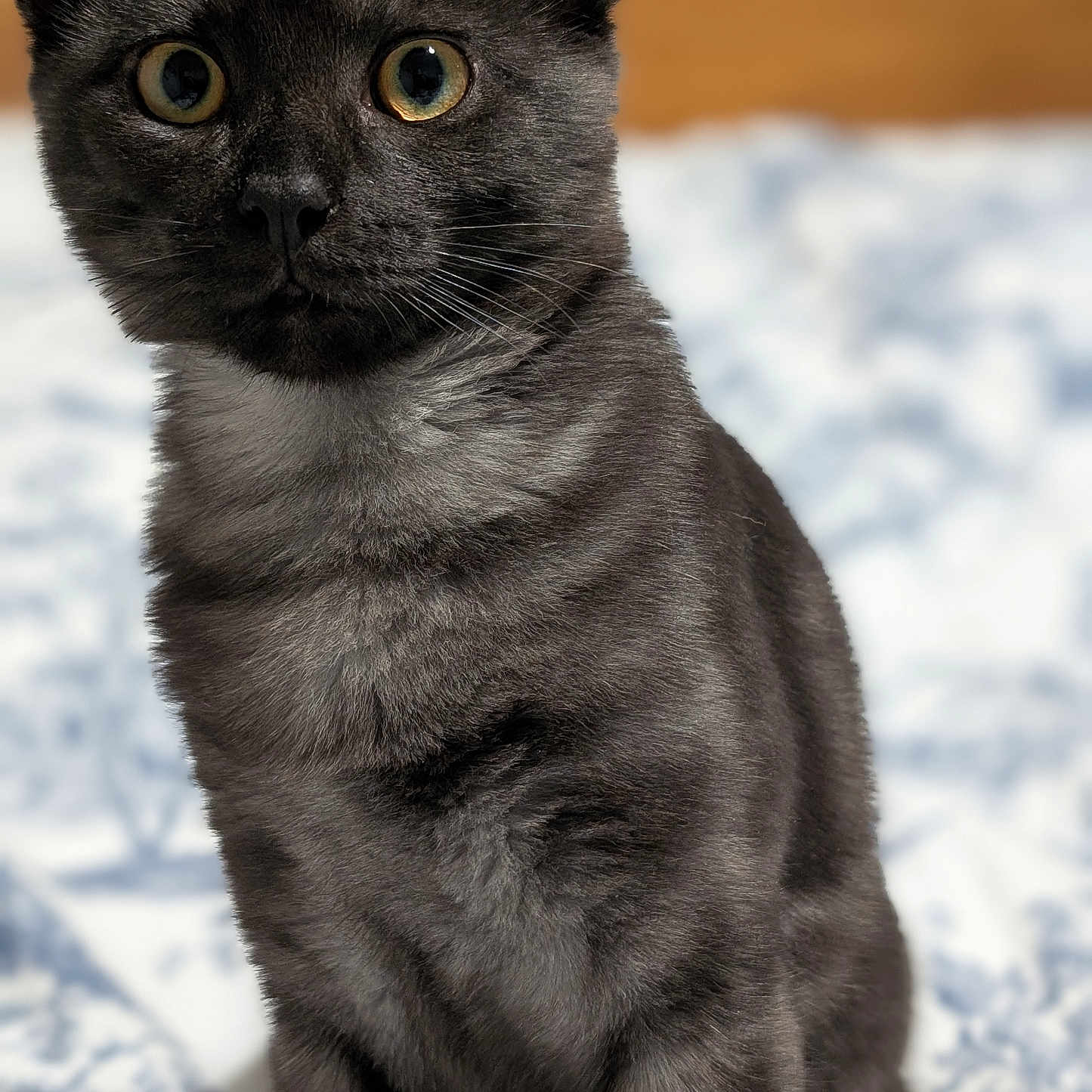 Smoky