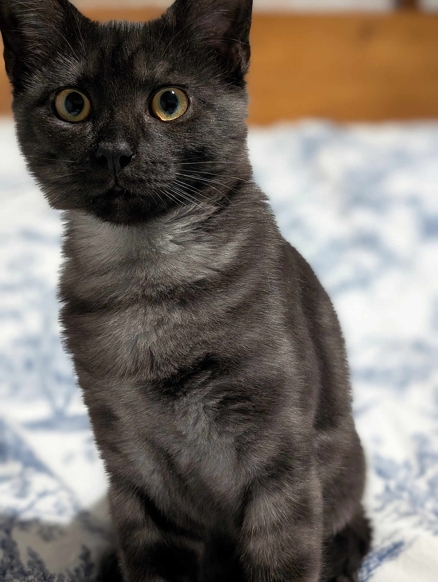 Smoky