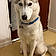 Yuki