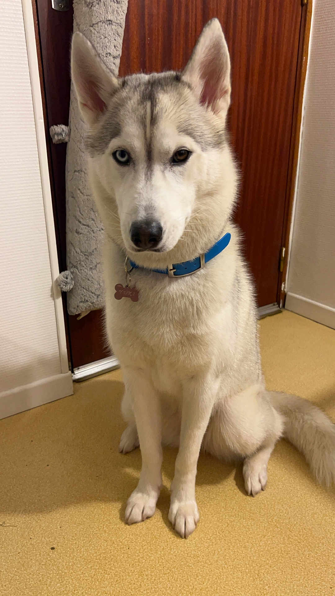 Yuki