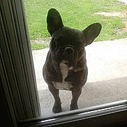 Hermione a rejoint le concours — aidez-le/la à gagner de superbes lots !