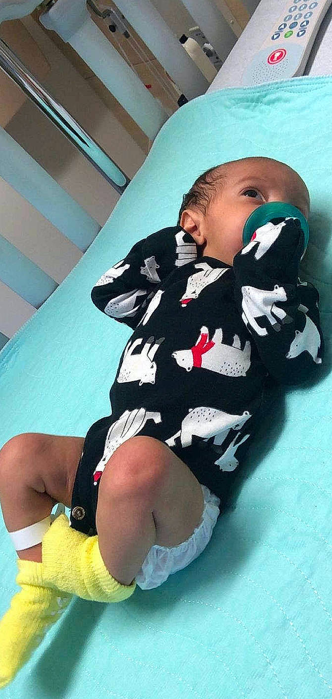 Noah joined the competition — help win amazing prizes! canidae, dog_breed, leg, person, sporting_group, thigh