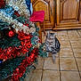 Grisou a rejoint le concours — aidez-le/la à gagner de superbes lots ! cat, chair, christmas_tree, decorations, feline, festive, floor, gold, holiday, home, indoor, interior, motion_blur, ornament, pet, red, tabby, tile_floor, tinsel, wooden_cabinet
