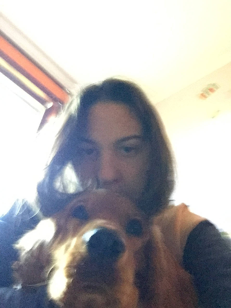 Pringles a rejoint le concours — aidez-le/la à gagner de superbes lots ! beard, carnivore, comfort, companion_dog, dog_breed, ear, eyelash, eyewear, facial_hair, fawn, fun, hair, happy, jaw, long_hair, moustache, mouth, nose, selfie, sporting_group