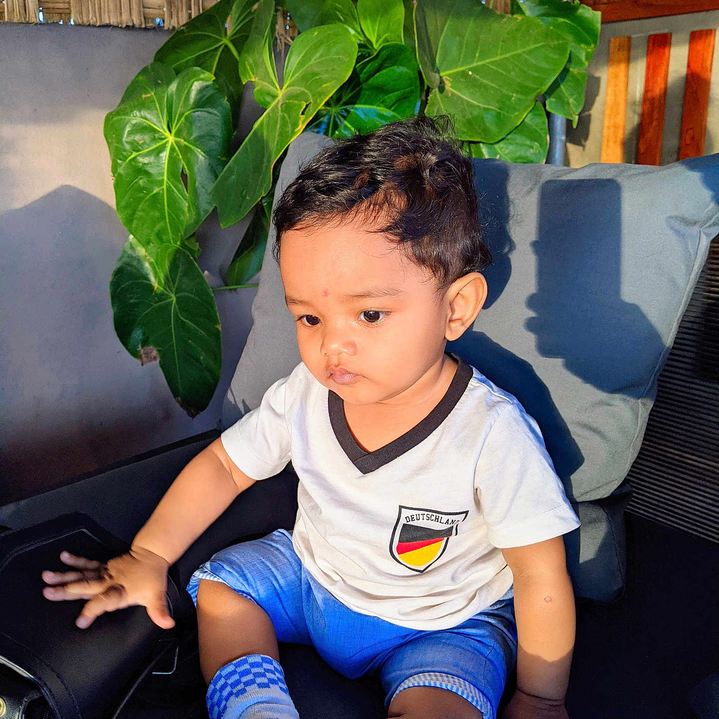 Eydan a rejoint le concours — aidez-le/la à gagner de superbes lots ! boy, casual_clothing, chair, child, curly_hair, cushion, expression, hand, home, indoor, leaf, plant, portrait, seat, shadow, shirt, shorts, sock, sunlight, toddler