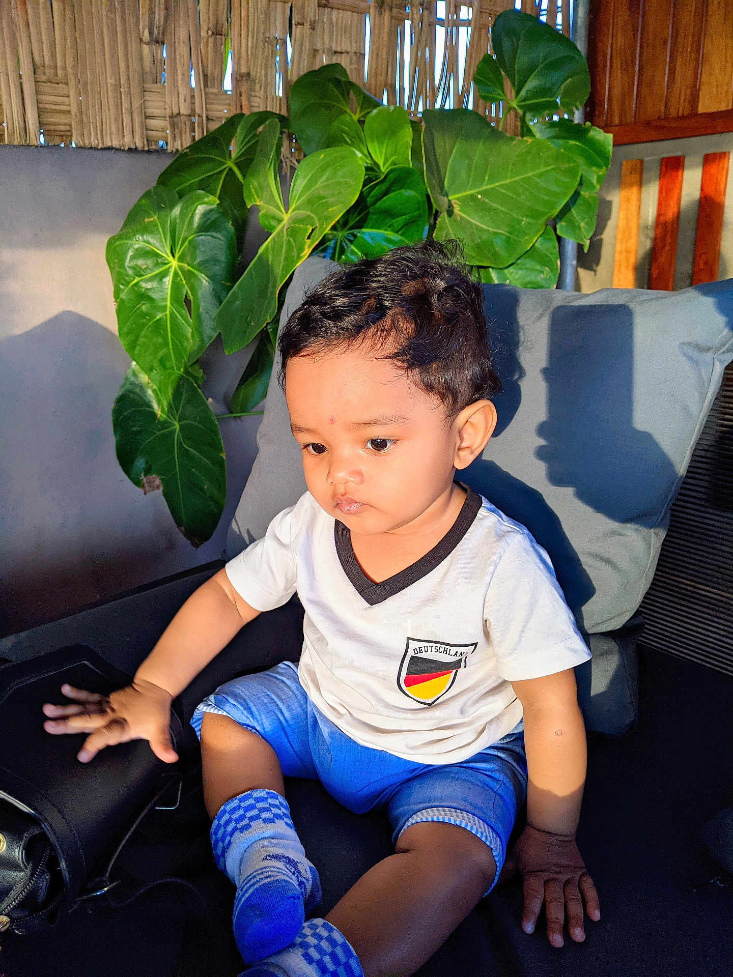 Eydan a rejoint le concours — aidez-le/la à gagner de superbes lots ! toddler, child, boy, indoor, cushion, chair, plant, leaf, shirt, shorts, sock, sunlight, shadow, hand, portrait, curly_hair, casual_clothing, seat, expression, home