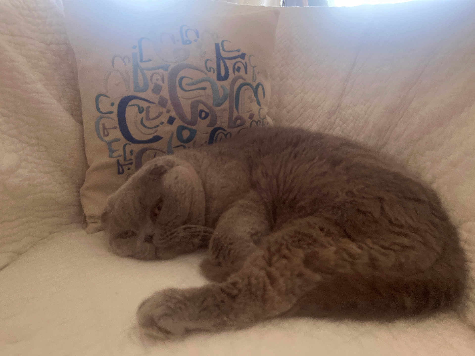 Berlioz