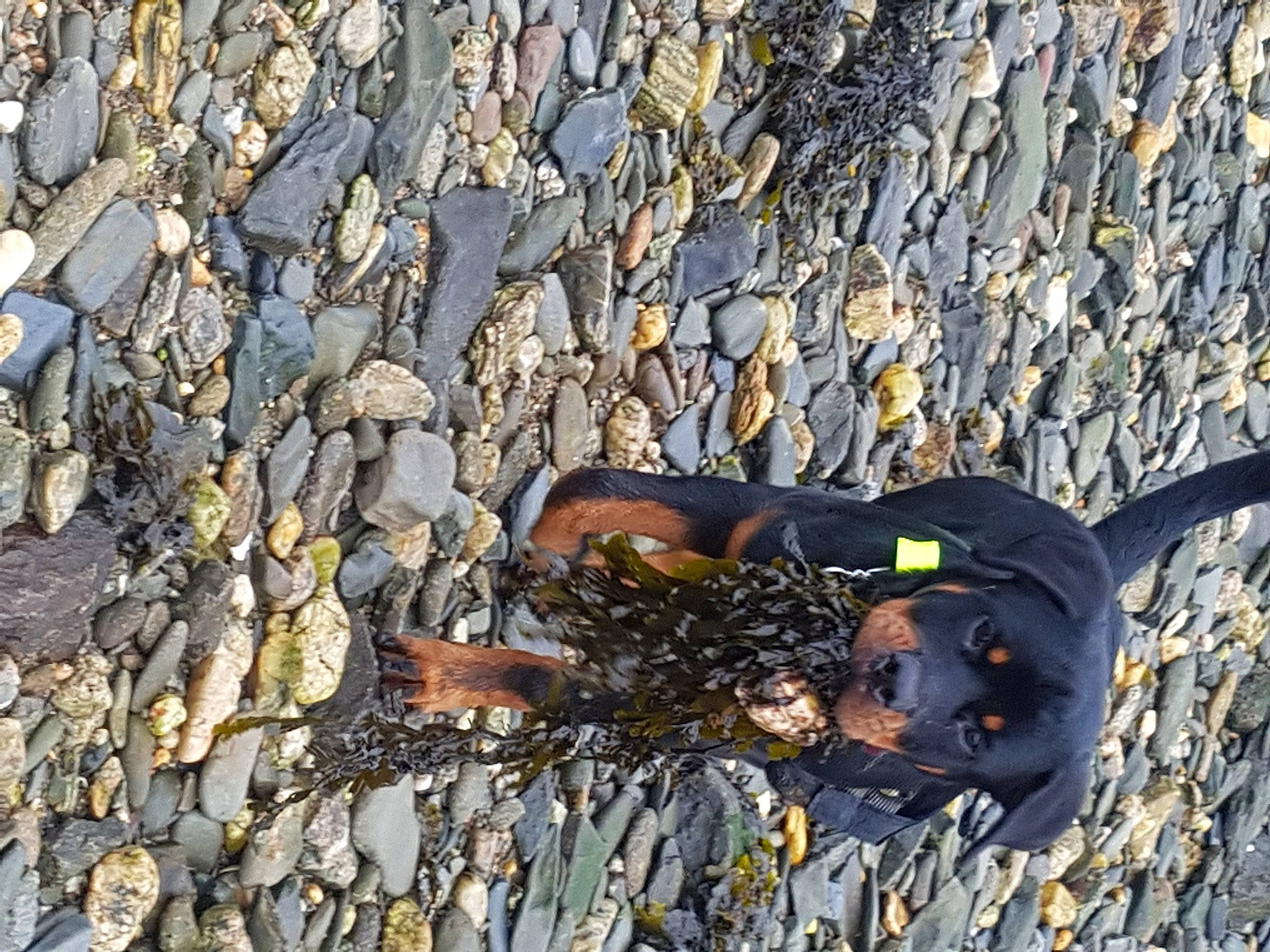 Rohff participe au concours pour gagner de l'argent avec cette photo : asphalt, bedrock, cobblestone, dress, foot, grass, human_leg, landscape, leg, pebble, people_in_nature, plant, recreation, road_surface, rock, shadow, sitting, soil, thigh, wood