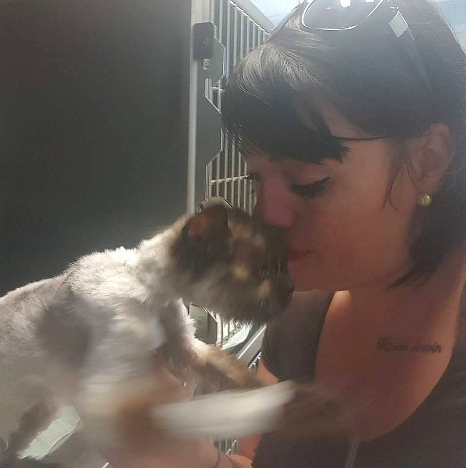 Lili a rejoint le concours — aidez-le/la à gagner de superbes lots ! carnivoran, cat, cat_like_mammal, dog, dog_breed, dog_breed_group, dog_like_mammal, ear, mammal, person, puppy, small_to_medium_sized_cats, snout, whiskers