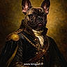 dog, french_bulldog, portrait, regal, historical_clothing, military_uniform, golden_background, costume, animal, pet, brown, canine, chain, button, leather, portrait_style, close_up, classic, vintage, website_watermark