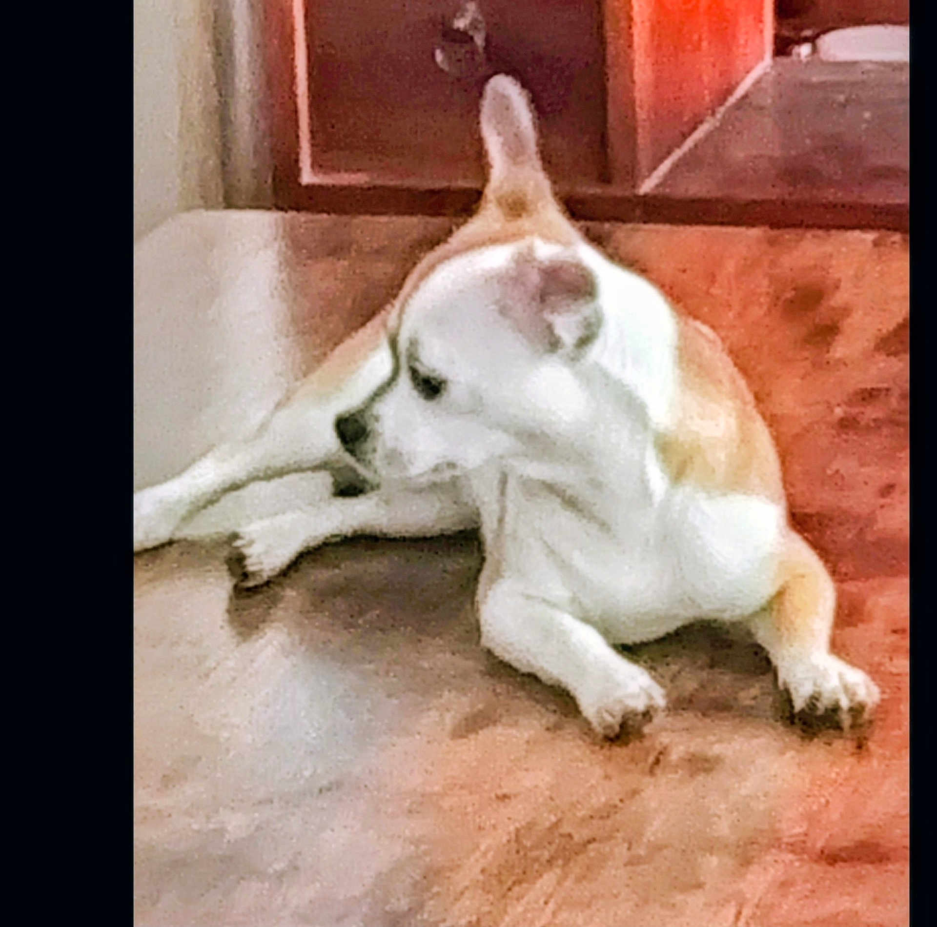 Maya